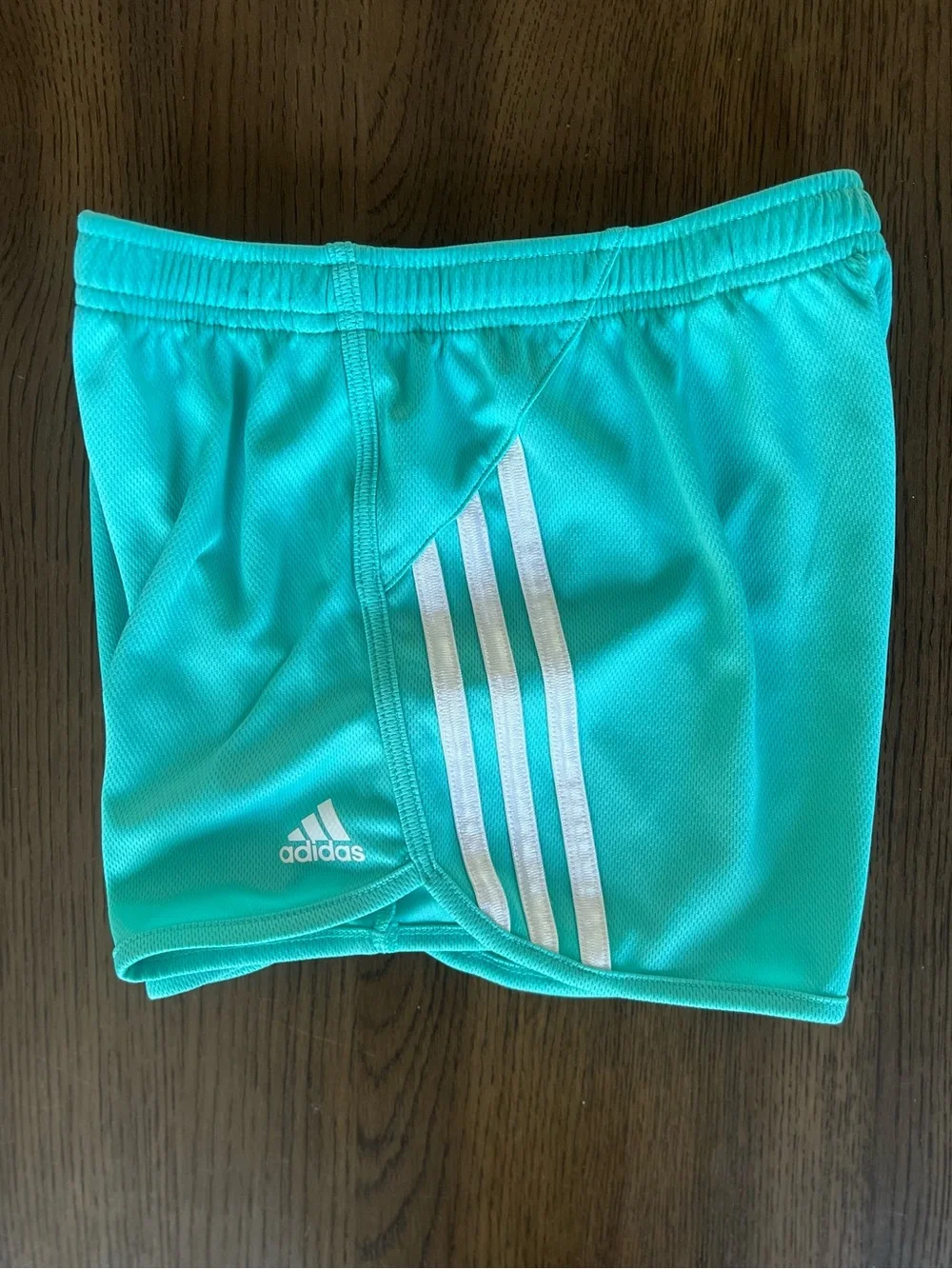 Girls Outfit: Aqua Adidas Shorts and Pink In Motion Top